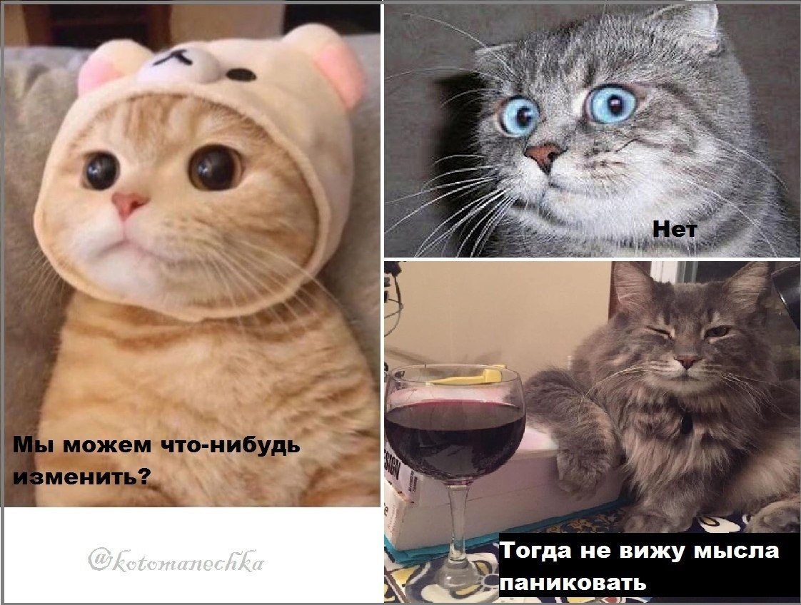    - 1  2022  21:33