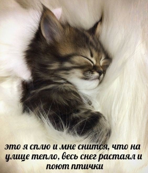    - 24  2022  08:33