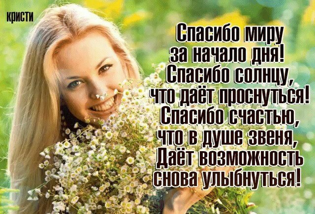   ,    . - 15  2022  13:02 - 2