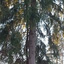 ���� Maikl, ����� - ��������� 2 ����� 2022 � ������ ���� ����������