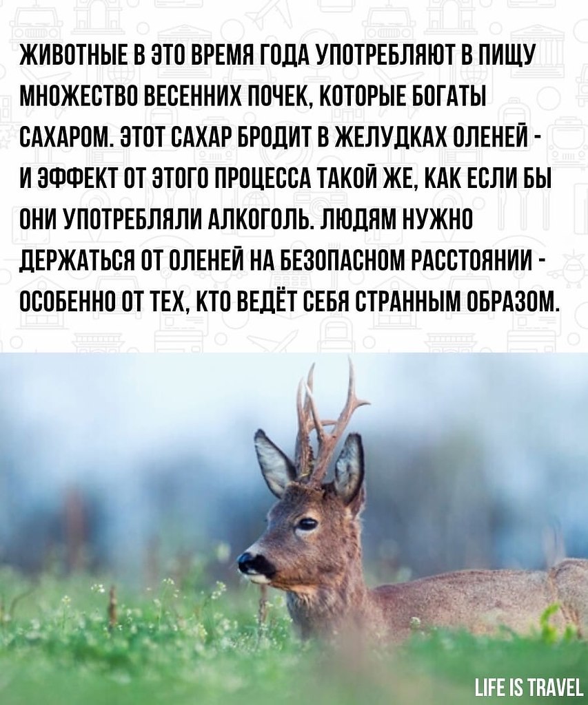 LIFE -  - 31  2022  18:46 - 3