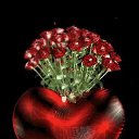  , -, 44  -  23  2022    