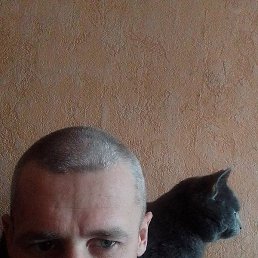 �����, ������, 41 ���