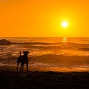 ���� Yuriy, ������, 46 ��� - ��������� 8 ���� 2022 � ������ ���� ����������