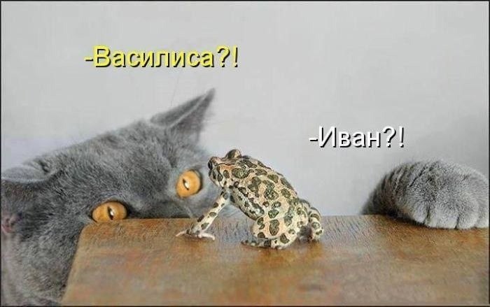    - 9  2022  21:33