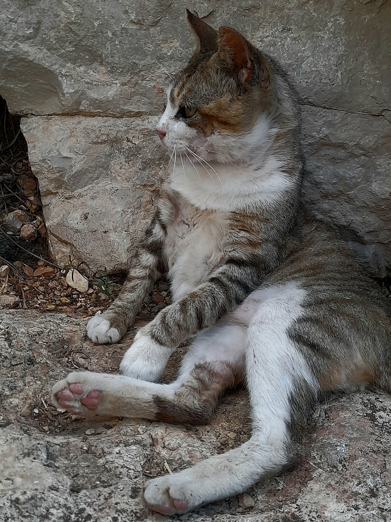 Galit T - 1 ������� 2023 � 03:55