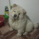 ���� �����, �����������, 52 ���� - ��������� 6 ������� 2022