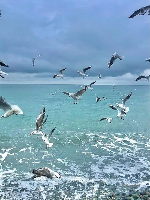 ,    -   , ,   .   ,   , ...