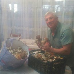 Stepan, , 67 