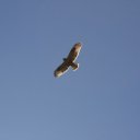  , -, 50  -  13  2022    