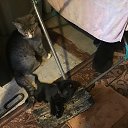 ���� ��������� 8), �����-��������� - ��������� 31 ������� 2022 � ������ ������� ������� 2022�