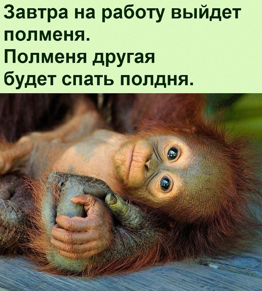   :D - 6  2022  18:46