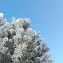 ���� ����, �����������-��-�����, 47 ��� - ��������� 15 ������ 2022 � ������ ���� ����������