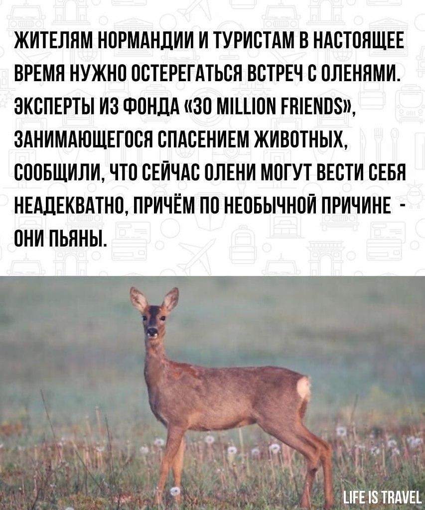 LIFE -  - 31  2022  18:46 - 2