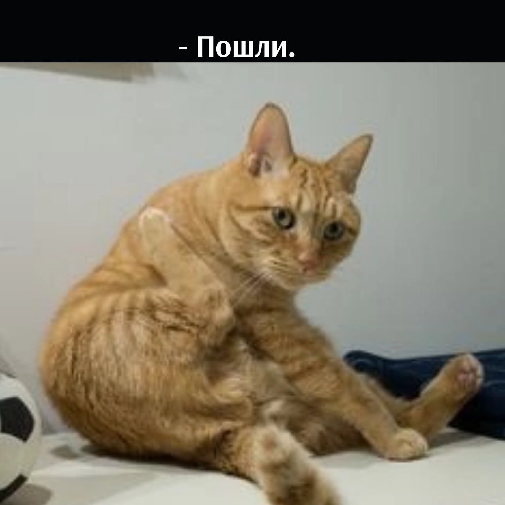       - 21  2022  15:45 - 4