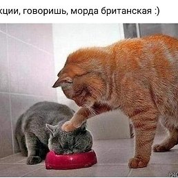 �������, ����, 76 ���