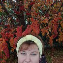 ���� �����, ���������, 50 ��� - ��������� 23 ������� 2022 � ������ ���� ����������