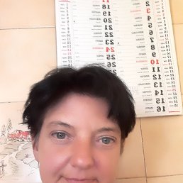  Gina, , 47  -  29  2022