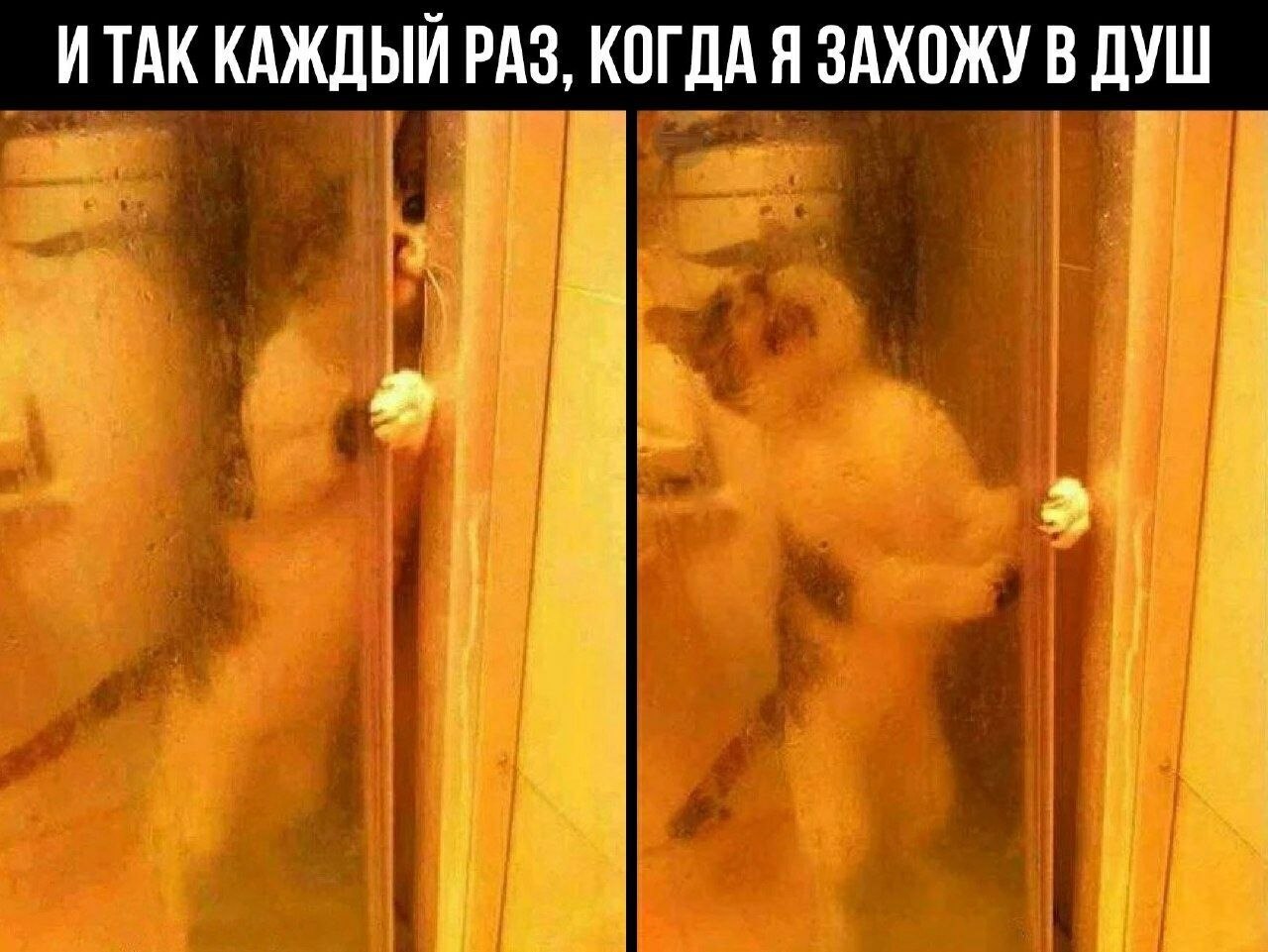    - 6  2022  21:36