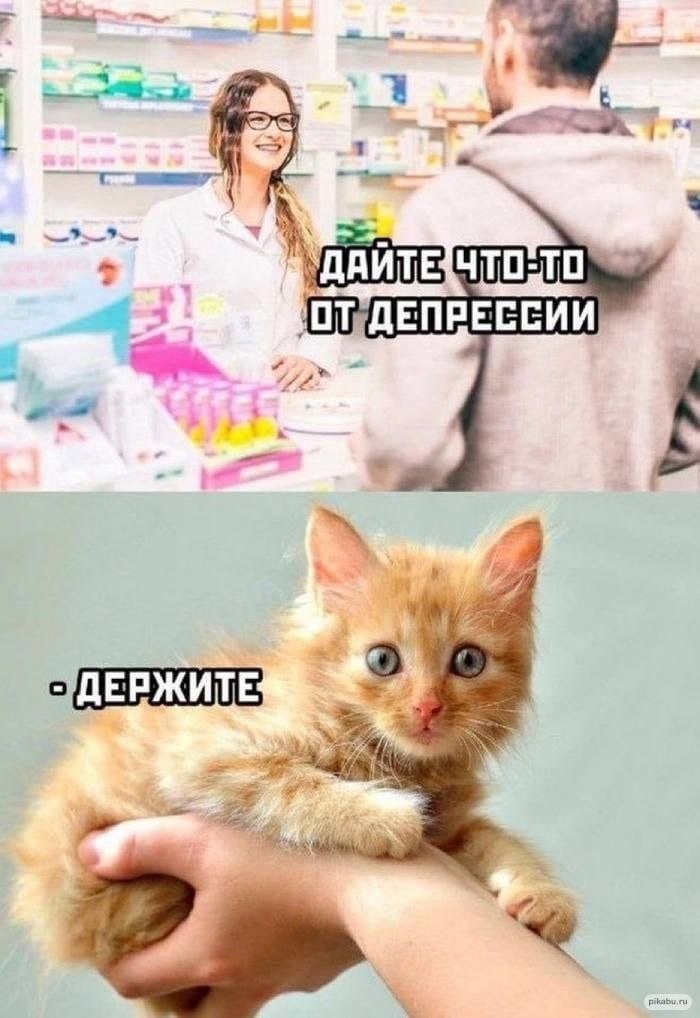   - 7  2022  14:18