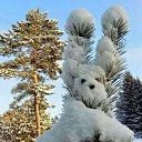 ���� �����, ���������, 58 ��� - ��������� 10 ������� 2022