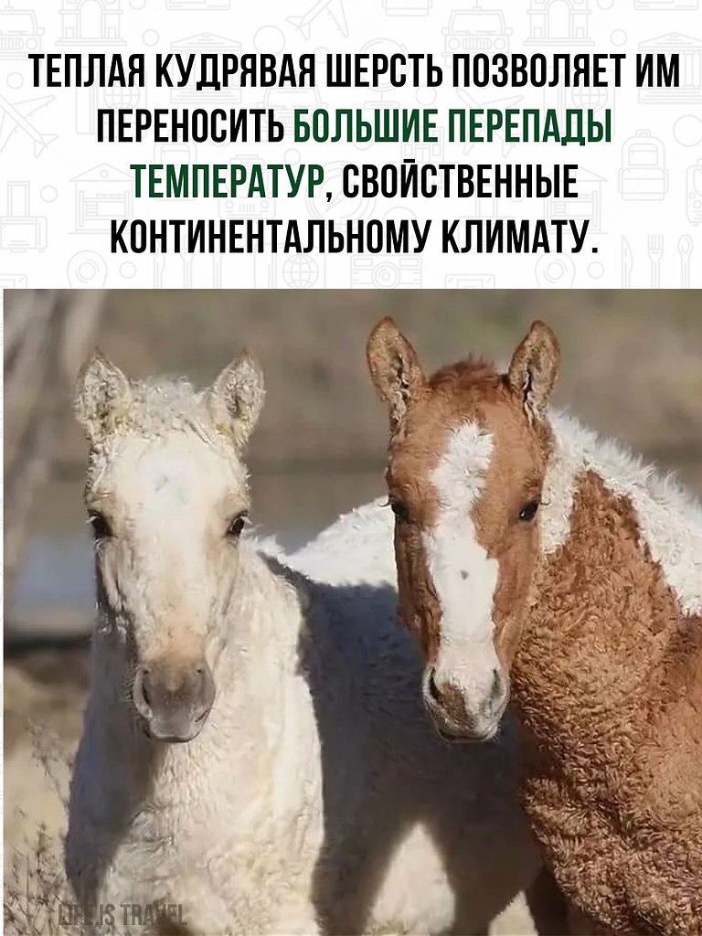     .     !