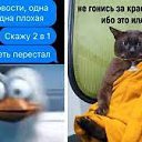 ���� �������, �������, 61 ��� - ��������� 8 ������ 2022 � ������ ���� ����������
