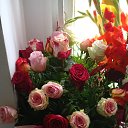 ���� ����, ���������, 51 ��� - ��������� 4 ������� 2022 � ������ ������ ��������