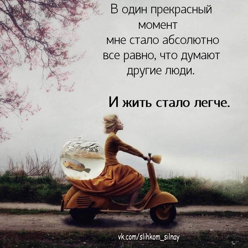  ,  .© - 23  2022  21:05