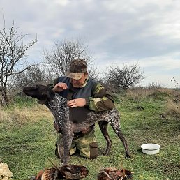 ����������, ���������, 46 ���