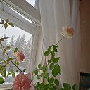 ���� �������, ������, 76 ��� - ��������� 20 ������� 2022 � ������ ���� ����������