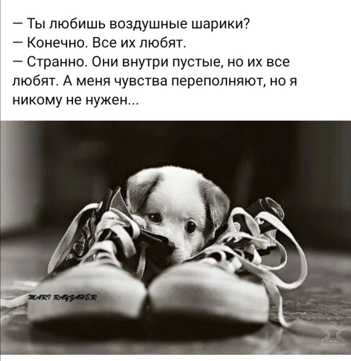 ***Victoria Viktorovna*** - 10  2022  08:03
