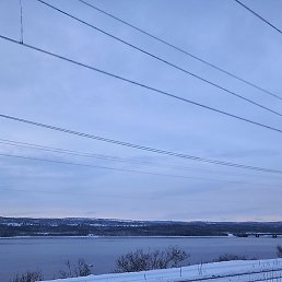 ������, ��������, 55 ���