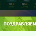 ���� ����������, ��������, 106 ��� - ��������� 17 ���� 2022 � ������ ������