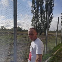 , , 44 