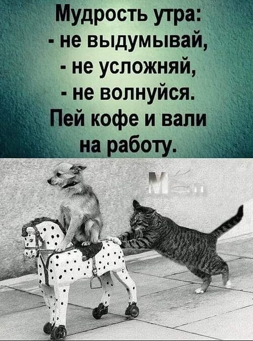   - 27  2023  08:41