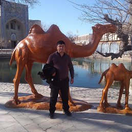 ���, ������, 34 ����