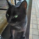  ,  -  15  2022      2022 !!!!!!