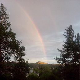 ���� ������, ����-�����������, 43 ���� - ��������� 8 ������ 2023