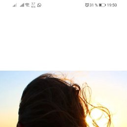 ����, �������, 48 ���