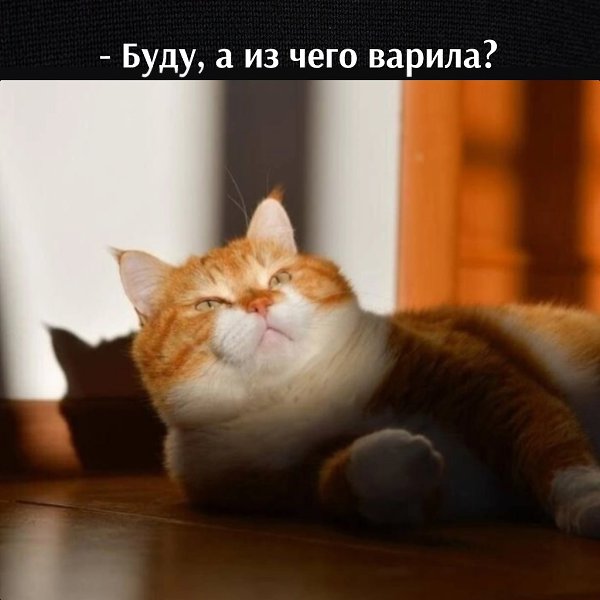       - 20  2023  09:58 - 2