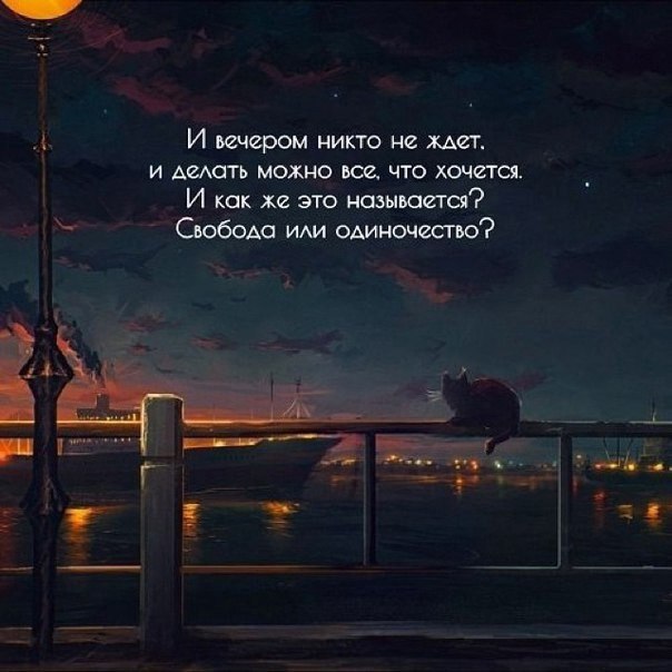   - 11  2022  18:36