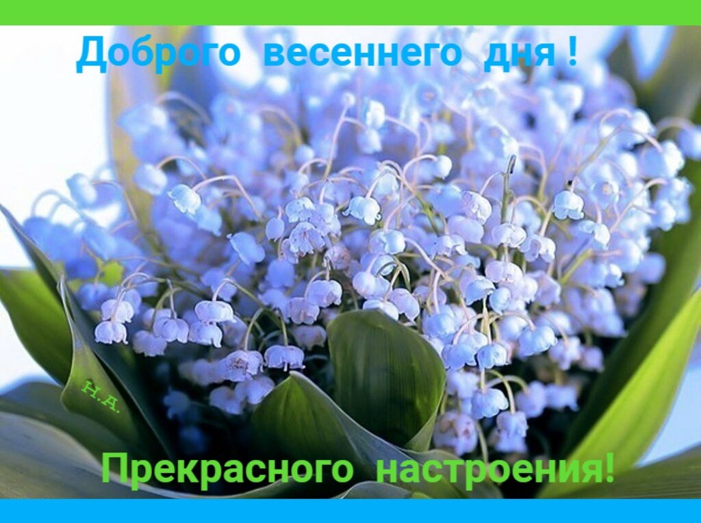   ,    . - 8  2022  11:41