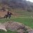  Hayk, , 39  -  11  2022