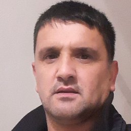 ����, �������, 43 ����