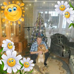 ���� �������, ����������-���������, 62 ���� - ��������� 15 �������� 2022