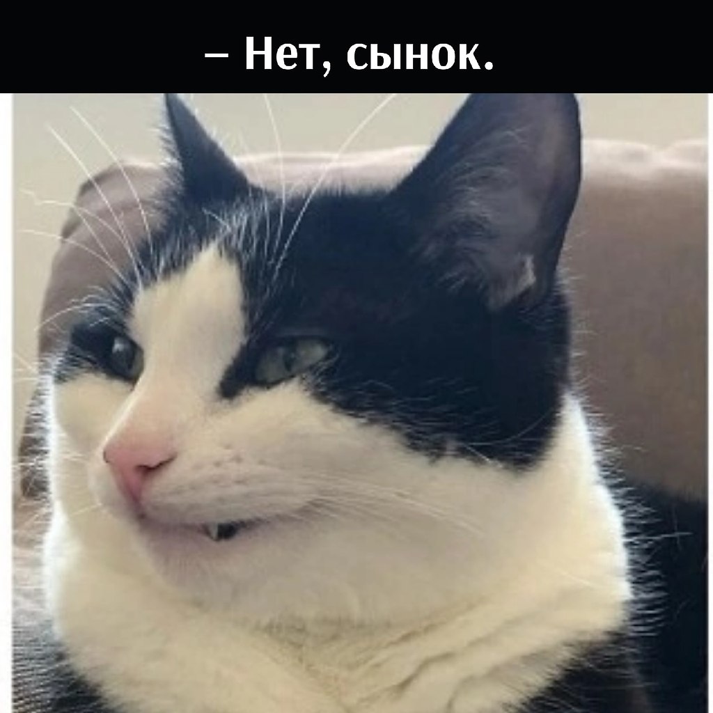       - 6  2022  13:30 - 2