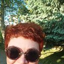 ���� ����, ����, 55 ��� - ��������� 1 ���� 2022 � ������ ���� ����������