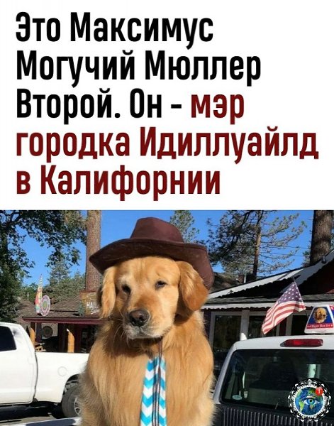 p, ee  poco opo a