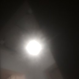 , , 48 